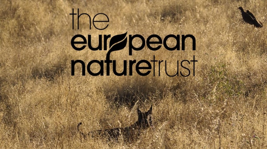 The Iberian Lynx Coexistence Adventure