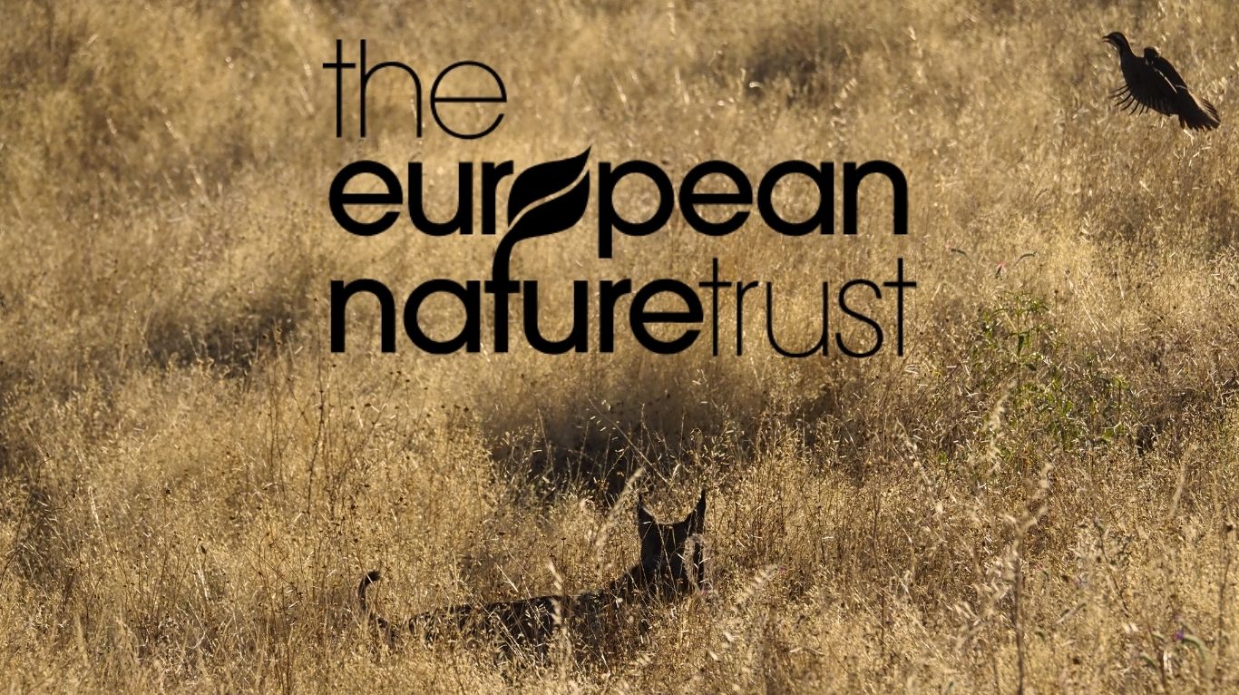 The Iberian Lynx Coexistence Adventure